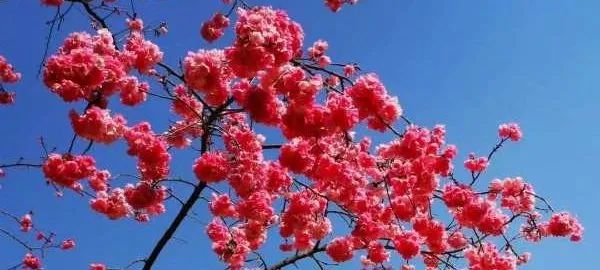 初中學(xué)生家庭教育的重要性_初中重要性家庭教育學(xué)生怎么寫_初中孩子的家庭教育重點