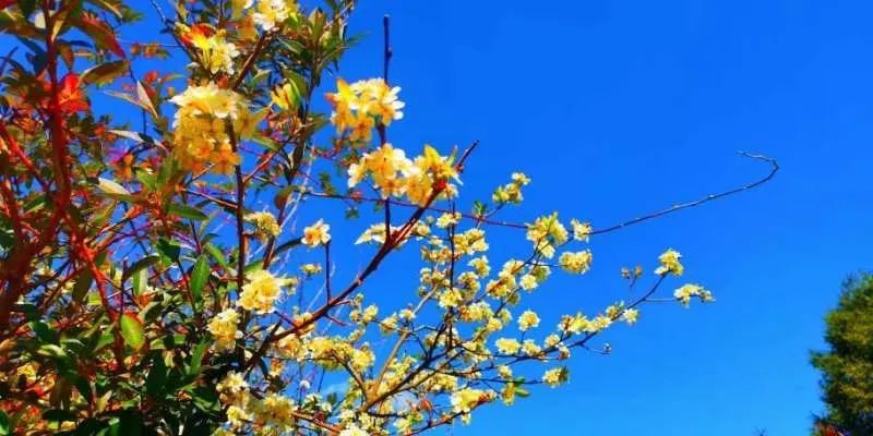 初中重要性家庭教育學(xué)生怎么寫_初中孩子的家庭教育重點_初中學(xué)生家庭教育的重要性