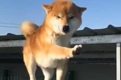 護膚孕婦谷雨品用可以嗎_谷雨洗面奶孕婦可用嗎_孕婦可以用谷雨的護膚品嗎