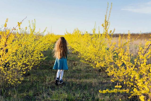 錯(cuò)誤家庭教育理念名言_錯(cuò)誤家庭教育理念有幾種_錯(cuò)誤的家庭教育